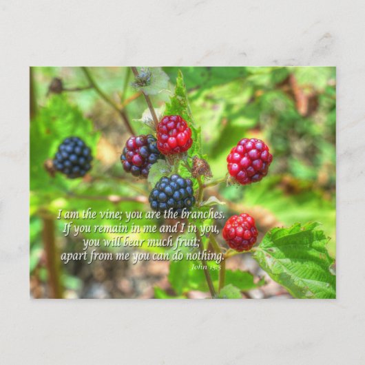 John 15:5 postkarte (Vorderseite)