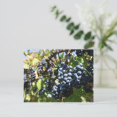 John 15:5 Trauben Postkarte (Stehend Vorderseite)