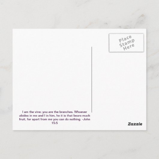 John 15:5 Trauben Postkarte (Rückseite)
