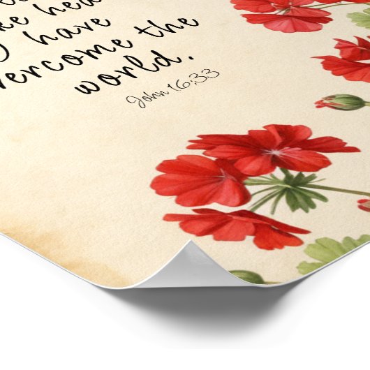John 16:33 Bible Verse Image Poster (Ecke)