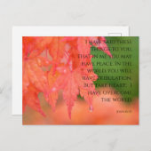 John 16:33 Roter Japanischer Ahorn Raindrop Postca Postkarte (Vorne/Hinten)
