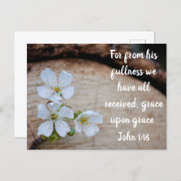 John 1:16 Wilde Kirsche Blume Postkarte