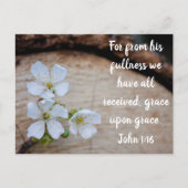 John 1:16 Wilde Kirsche Blume Postkarte (Vorderseite)
