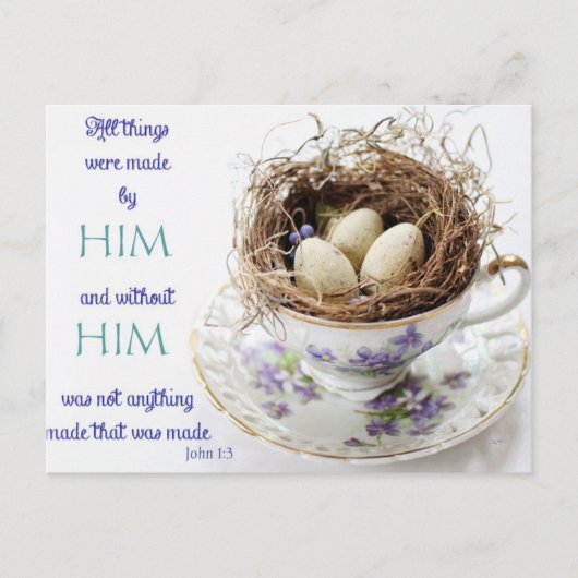 John 1:3 Scripting Bird Nest Postcard Postkarte (Vorderseite)