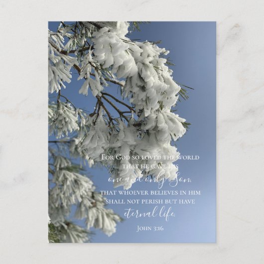 John 3:16 Benutzerdefinierter Text | Original Foto Postkarte (Vorderseite)