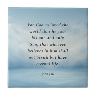 John 3:16 Bible Verse Image Fliese