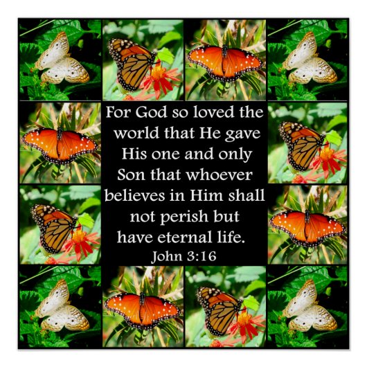 JOHN 3:16 BUTTERFLY-DESIGN POSTER (Vorderseite)