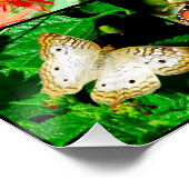 JOHN 3:16 BUTTERFLY-DESIGN POSTER (Ecke)