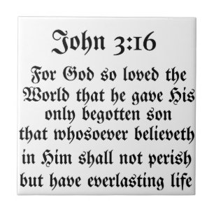 John-3:16 Fliese