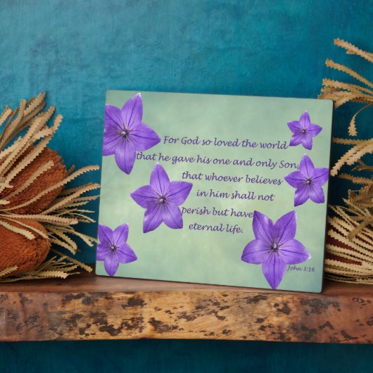 John 3:16 fotoplatte (Seite)