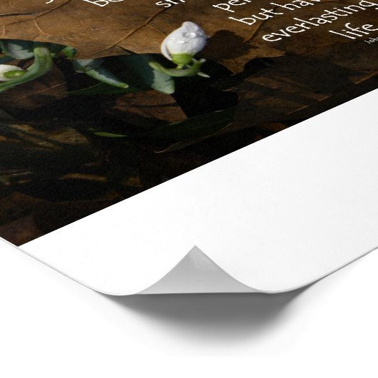 John 3:16 King-James-Basisposter Poster (Ecke)