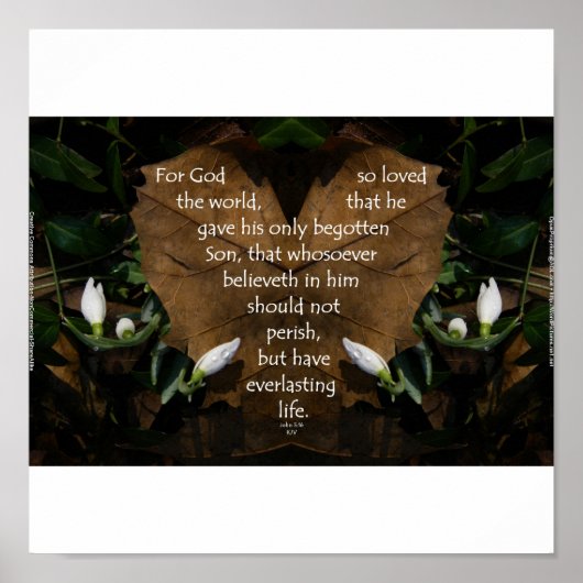 John 3:16 King-James-Basisposter Poster (Vorne)