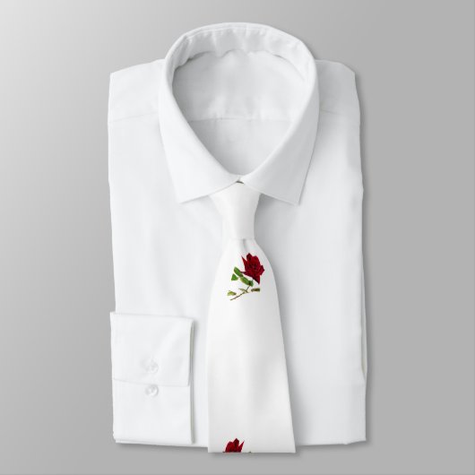 John 3:16 krawatte (Gebunden)