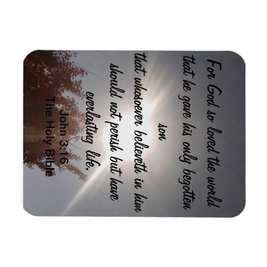 John 3:16 Magnet (Horizontal)