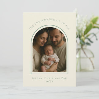 John 3:16 Modern Sage Elegant Arch Christmas Photo Feiertagskarte