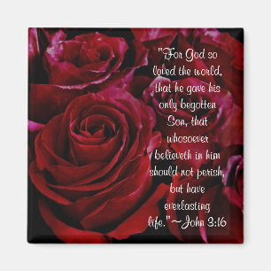 John 3:16 rote Rosen Magnet