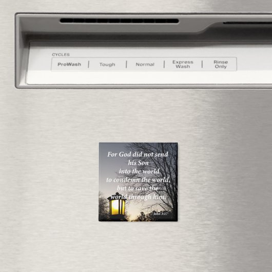 John 3:17 magnet (In Situ (Geschirrspüler))