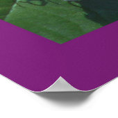 John 8 31:32 Print/Poster Poster (Ecke)