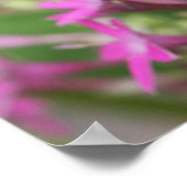 John 8:31 & 32 Scripture Poster (Ecke)