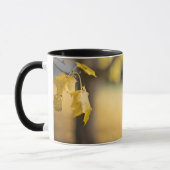 John 8:32 Die Wahrheit Set dir FREE Bibelverse Tasse (Links)