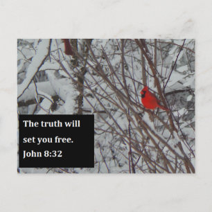 John 8:32 Scripture Post Card Postkarte