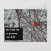 John 8:32 Scripture Post Card Postkarte (Vorderseite)