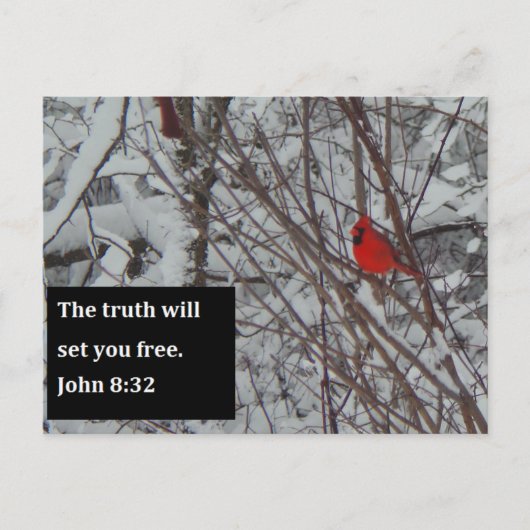 John 8:32 Scripture Post Card Postkarte (Vorderseite)
