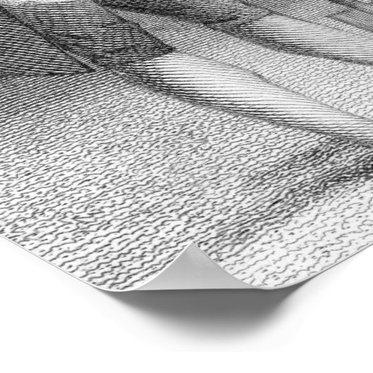 John Abercrombie, 1839 Poster (Ecke)