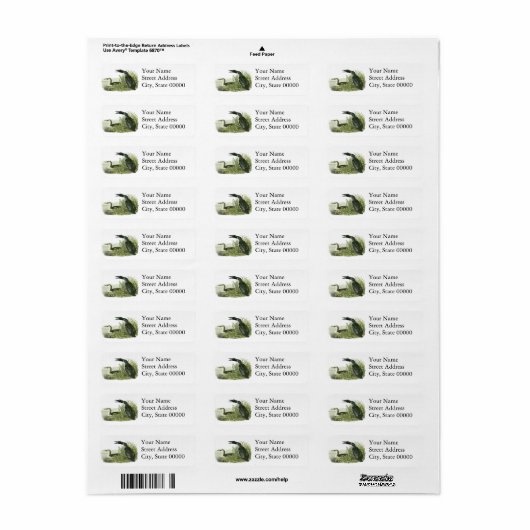 John Audubon (Vorne)