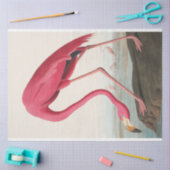 John Audubon Flamingo Pink Artwork Dekoupaging Seidenpapier (Basteln)