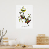 John Audubon Painted Bunting Print Poster (Küche)