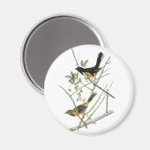 John Audubon Rufous-Sided Towhere Magnet (Vorderseite/Rückseite)