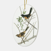 John Audubon Rufous-versah Towhee mit Seiten Keramikornament (Links)