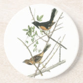 John Audubon Rufous-versah Towhee mit Seiten Untersetzer (Vorne)