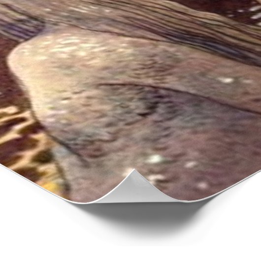 John Bauer Agneta und der King-See Poster (Ecke)