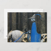 John Bauer - hin und wieder Postkarte (Vorne/Hinten)