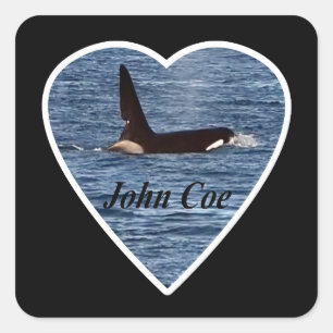 John Coe Orca Killer Whale Quadratischer Aufkleber