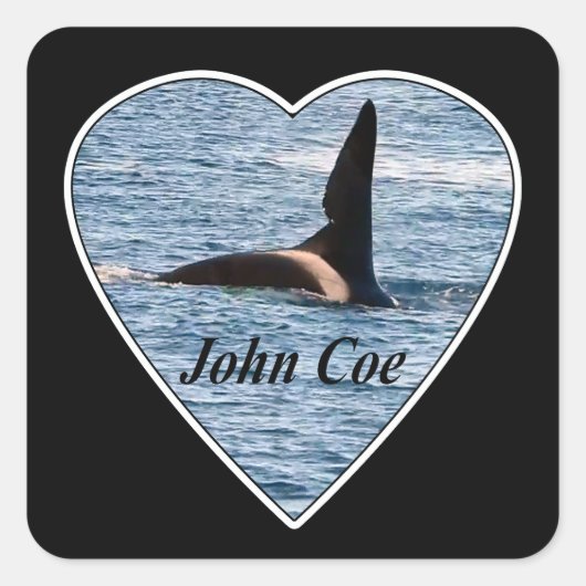 John Coe Orca Killer Whale Quadratischer Aufkleber (Vorderseite)