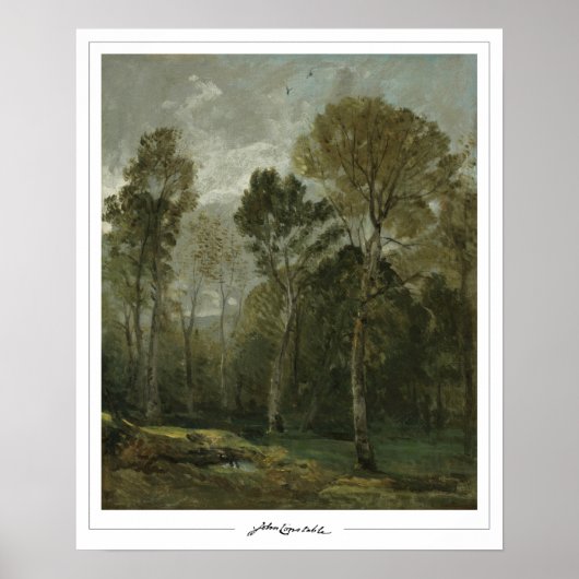 John Constable Zedign Art Poster #158 (Vorne)