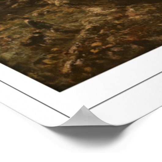 John Constable Zedign Art Poster #374-2 (Ecke)