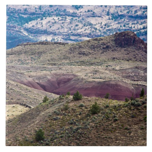 John Day Fossil Beds National Monument, Oregon Fliese (Vorderseite)