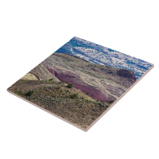 John Day Fossil Beds National Monument, Oregon Fliese (Seite)