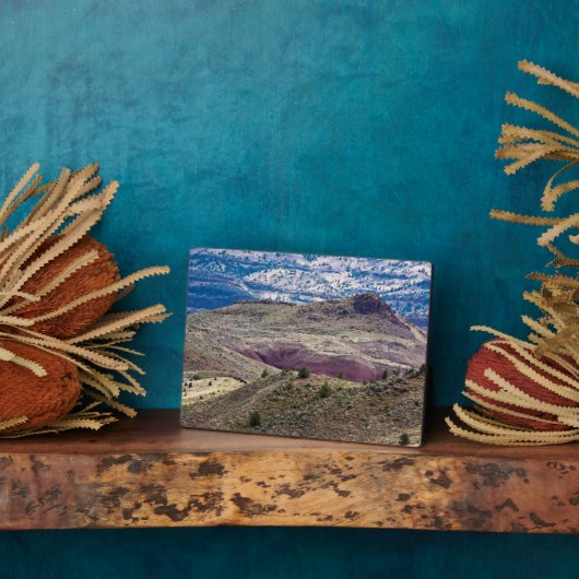 John Day Fossil Beds National Monument, Oregon Fotoplatte (Seite)