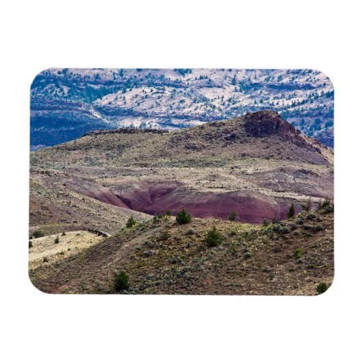 John Day Fossil Beds National Monument, Oregon Magnet (Horizontal)