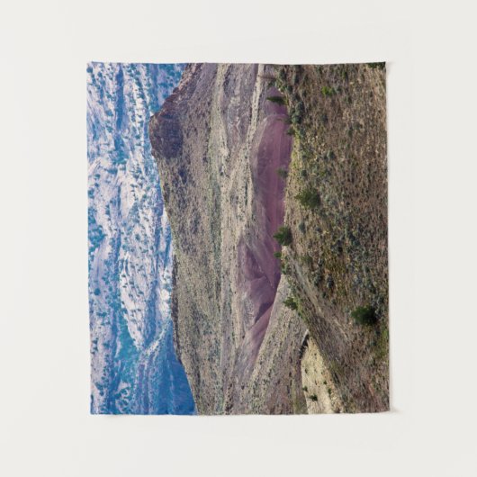 John Day Fossil Beds National Monument, Oregon Wandteppich (Vorderseite)