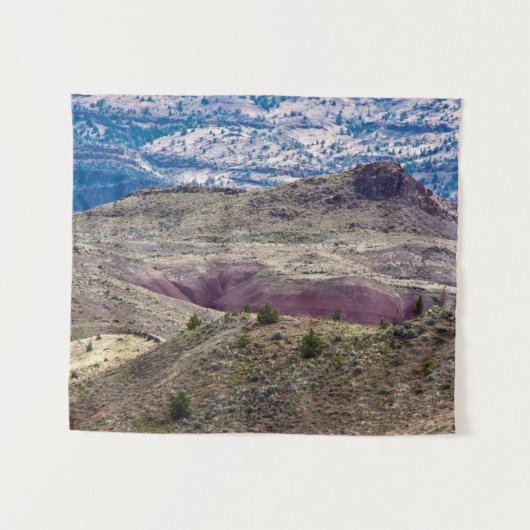 John Day Fossil Beds National Monument, Oregon Wandteppich (Vorderseite (Horizontal))