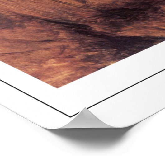 John Everett Millais Zedign Art Poster #121 (Ecke)