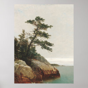 John Frederick Kensett Old Pine Landscape Print Poster