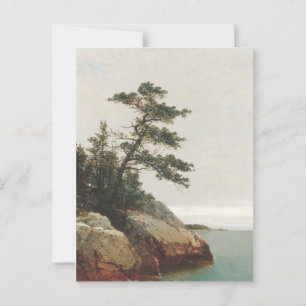 John Frederick Kensett Old Pine Landscape Print Postkarte