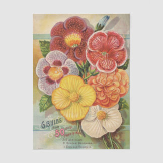 John Gardiner Vintage-Blumenkatalog, 1896 Seidenpapier